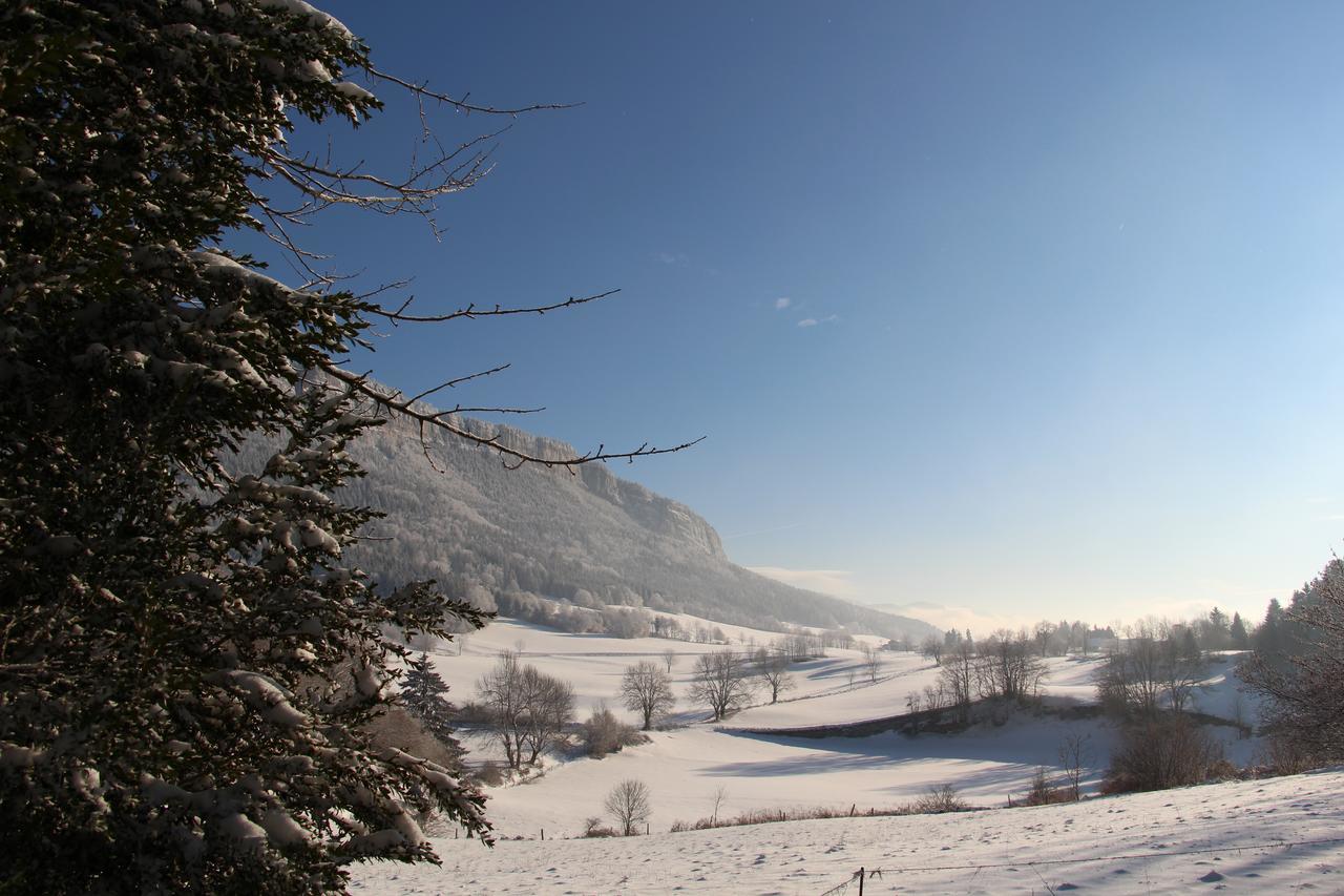 Cafe Brochier Hotel Saint-Julien-en-Vercors ภายนอก รูปภาพ
